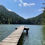 Grebenzen Starnberg 60a