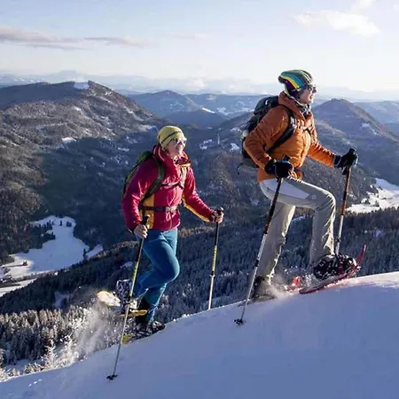 Grebenzen Starnberg 60a * Sankt Lambrecht