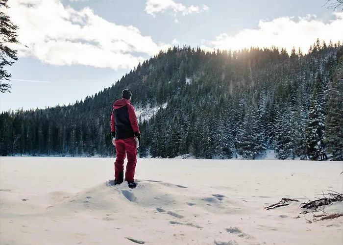 Grebenzen Starnberg 60a *